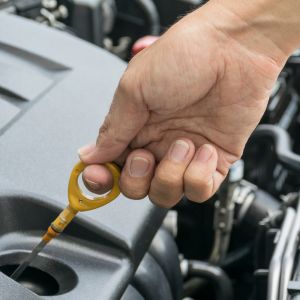 How do I examine and replace my oil?