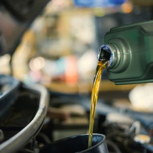 Regularly check oil levels for optimal performance
